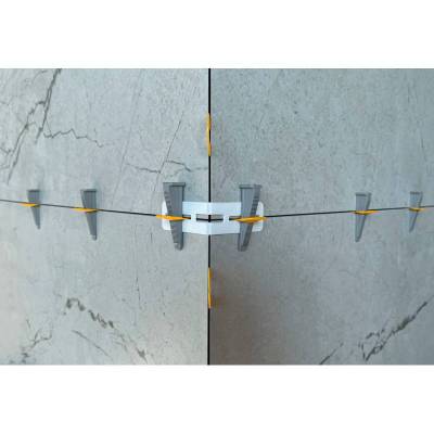 TLSA42020