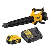 DEWALT DCMBL562P1